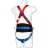 Portwest Teljes testheveder, 2 pontos